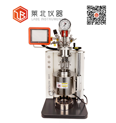 LB1000 机械搅拌反应釜
