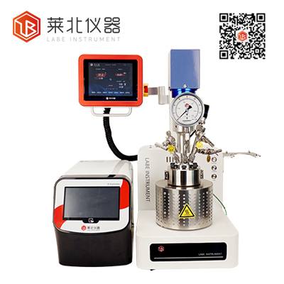 SS-100-250 多功能超声波反应平台